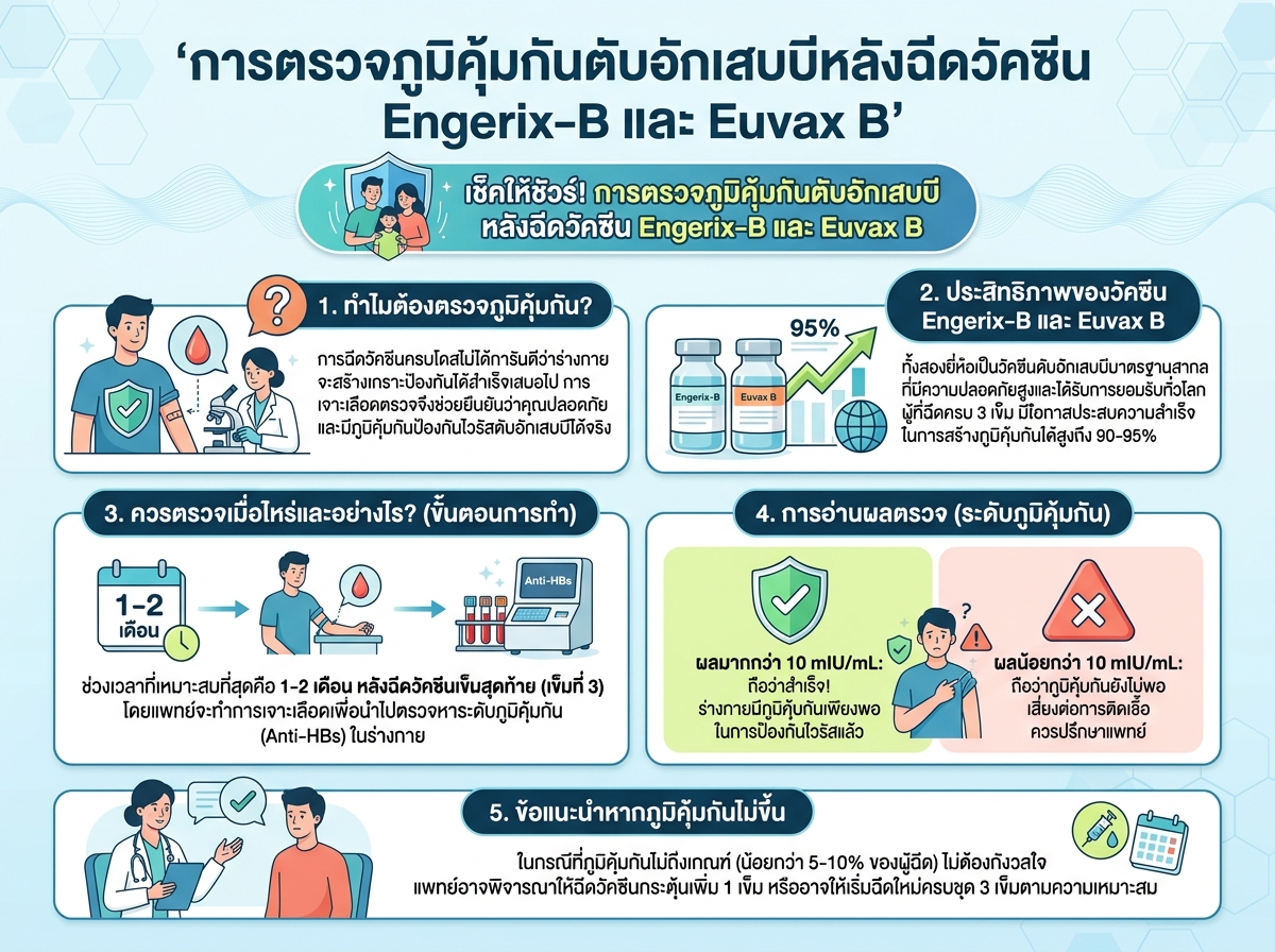 การตรวจภูมิคุ้มกันตับอักเสบบีหลังฉีดวัคซีน Engerix-B และ Euvax B