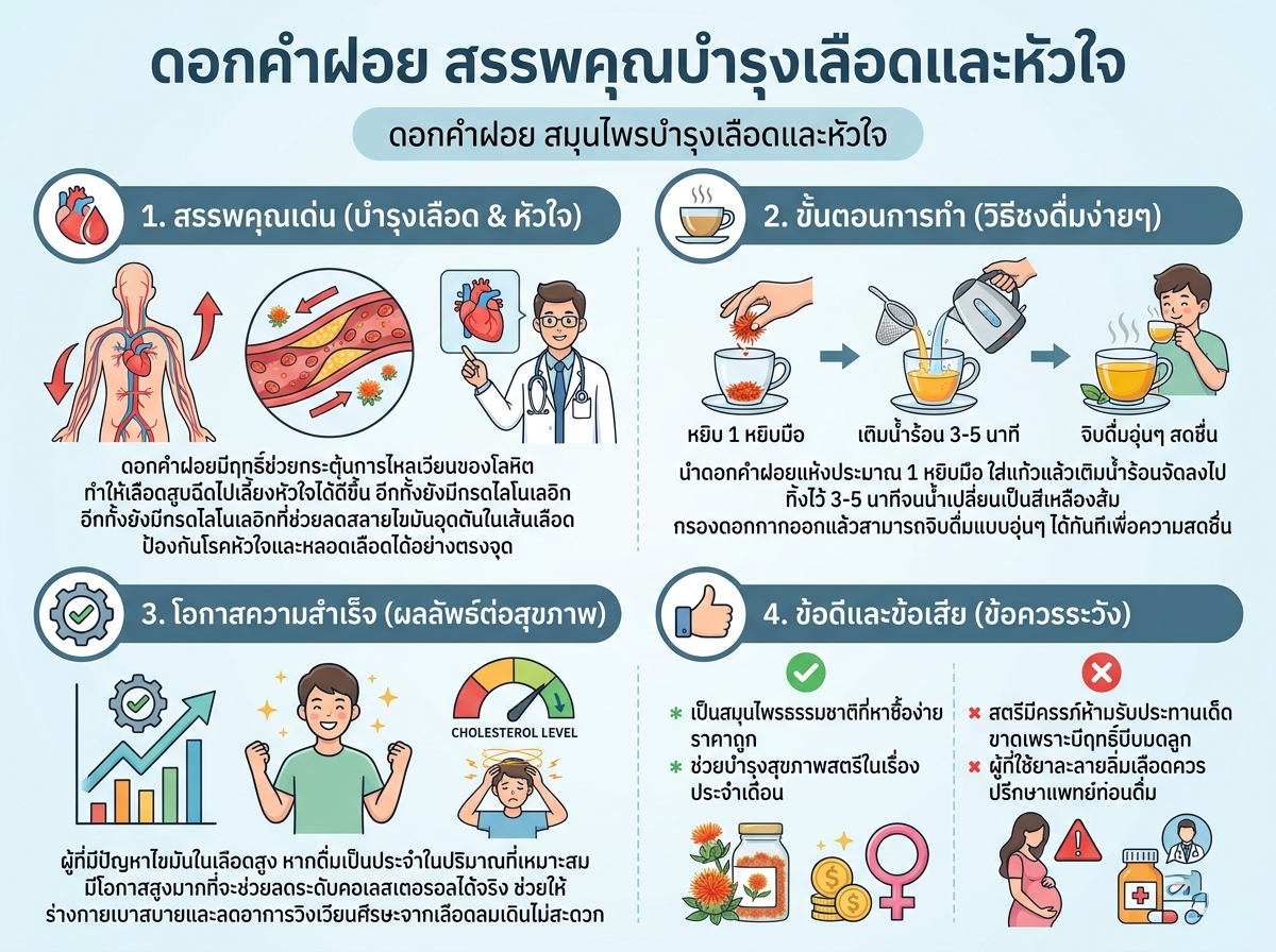 ดอกคำฝอย สรรพคุณบำรุงเลือดและหัวใจ