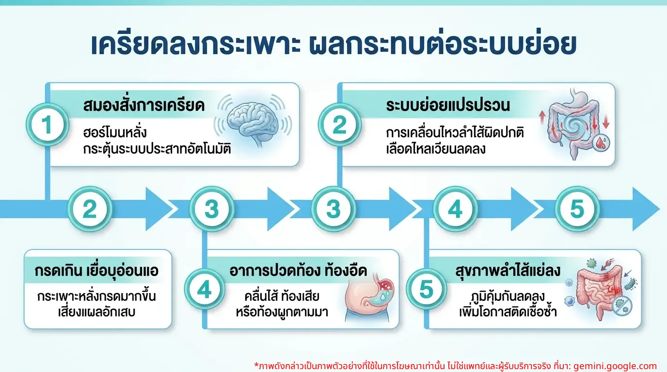 อินโฟกราฟิกแสดงผลกระทบของความเครียดต่อระบบย่อยอาหารและอาการเครียดลงกระเพาะ
